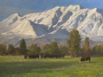 Reluctant Spring